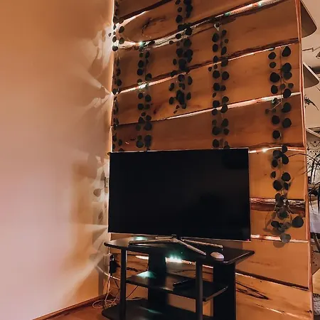 Apartment Comfortable Two-room
